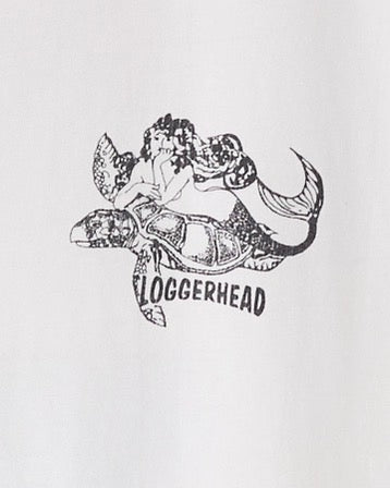 LOGGERHEAD DIVE CHARTERS